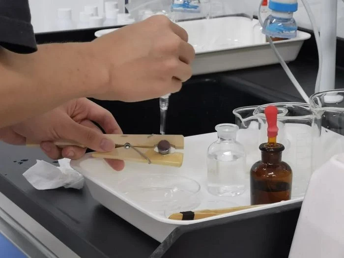 Microscopic Detection Of Non-metallic Inclusions best